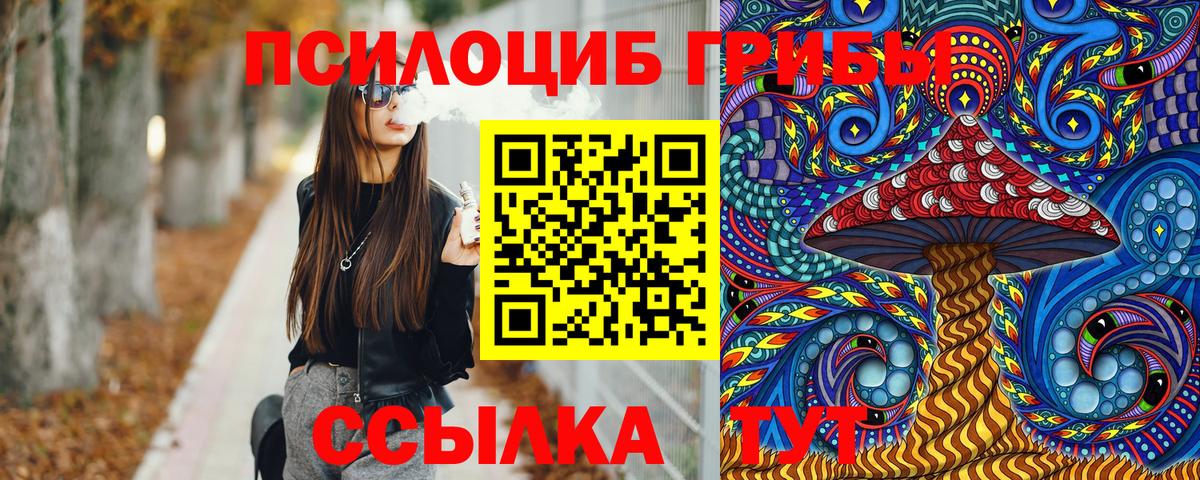 Галлюциногенные грибы GOLDEN TEACHER  Вход с VPN  Фрязино 