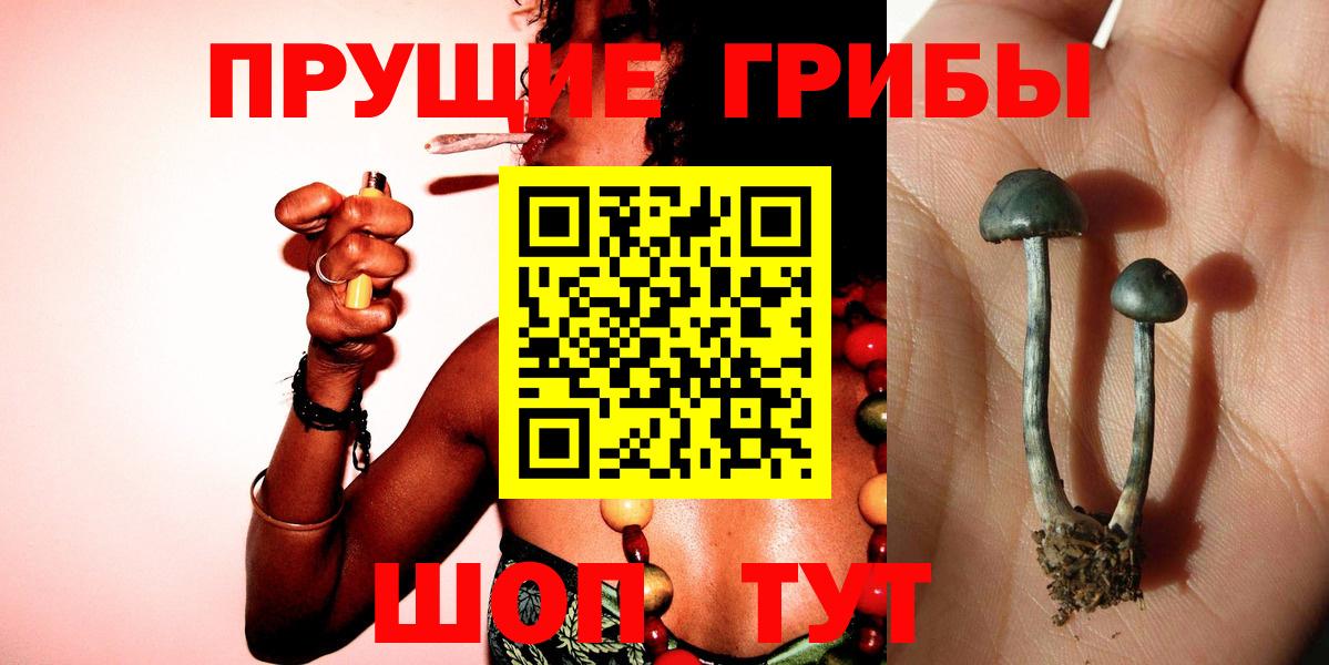 Галлюциногенные грибы мицелий Фрязино