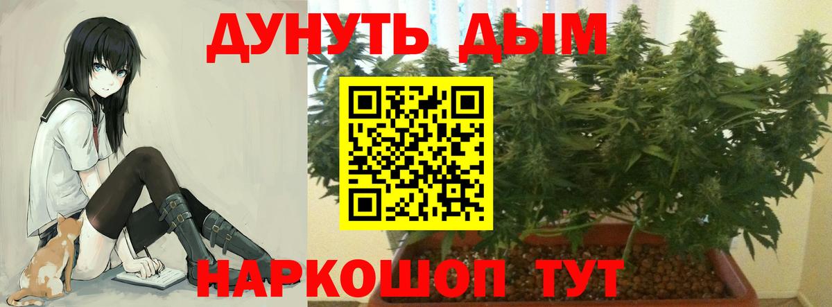 Каннабис Bruce Banner Фрязино